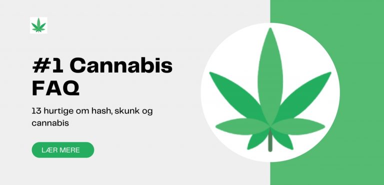 cannabis-faq-weedly-spørgsmål